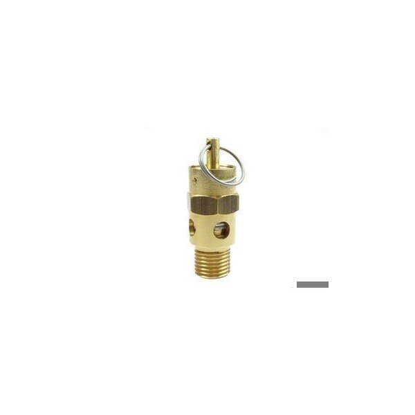 ASME-Approved Relief Valves 110 PSI