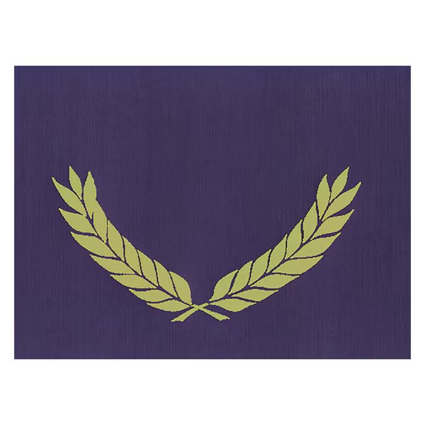 Hayes Embossed Certificate Folder, Blue, PK30, Hayes, Mfr#: VA343