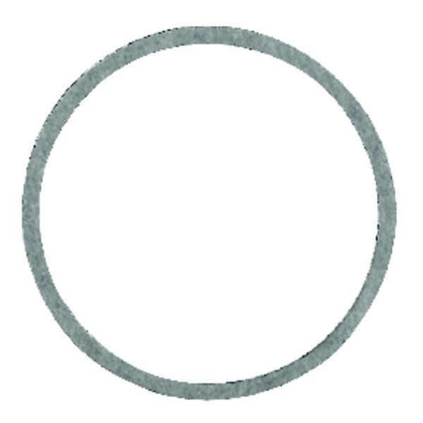 Nylon 15/16 inch  D X 1-1/16 inch  D Cap Thread Gasket, Danco, Mfr#: 35556B