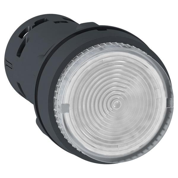 Monolithic illuminated push button, plas, Schneider Electric, Mfr#: XB7NW37G1