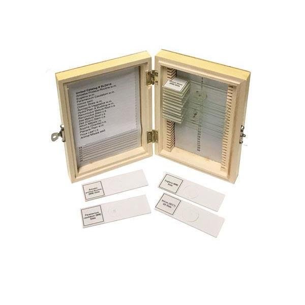 Biology Prepared Slide Set Of 16, United Scientific, Mfr#: SLD016