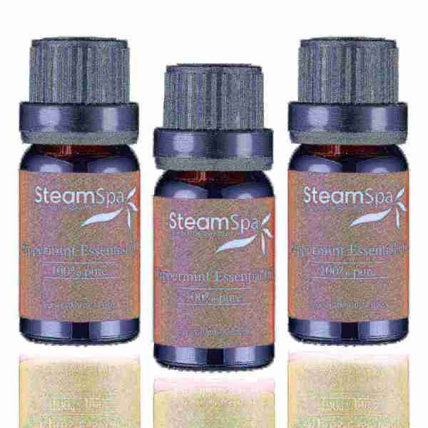 Essence of Peppermint Aromatherapy Oil Extract Value Pack, Steamspa, Mfr#: G-OILPEP3