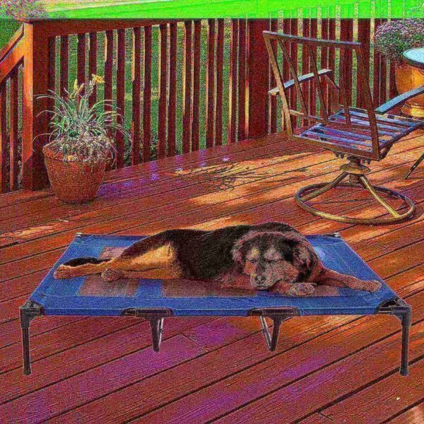 chair-kid-1
