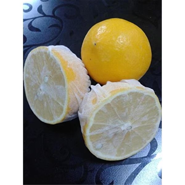 Lemon Stretch Wrap 100PK, Beliz Import, Mfr#: LEMWRAP100