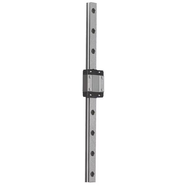 Microguide Assy, Single Carriage, 170 mm L, Thomson, Mfr#: 1TSR9WZMUU+170