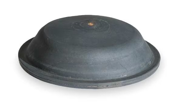 Diaphragm, Type 24, New Star, Mfr#: 2ZKF8