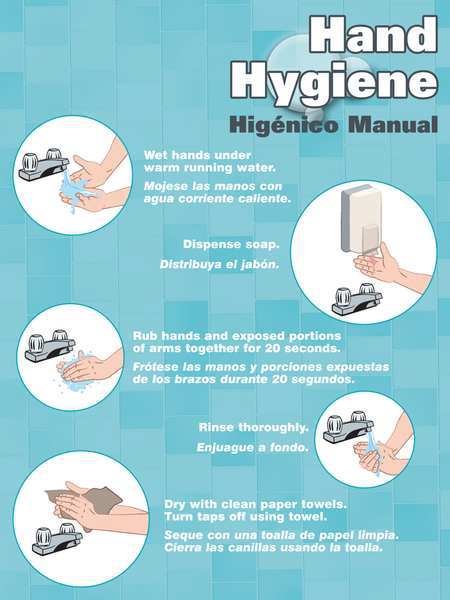Poster, Hand Hygiene, 18 x 24 In., Accuform, Mfr#: SP124486L