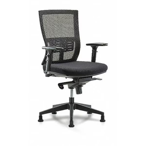Desk Chair, Mesh, 18-1/2" to 21-1/2" Height, Adjustable Arms, Black, Blue Ridge Ergonomics, Mfr#: BR-MOD-MDHCH-RG-C2-A2-RG