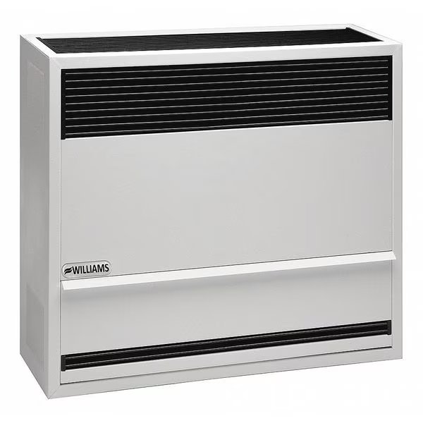 Surface-Mount Gas Wall Heater, Propane, Direct Vent Vent Type, Gravity Convection, Williams Comfort Products, Mfr#: 2203821