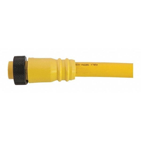 Cordset, Mini, PVC, Female, 8 Pole, 12 ft., Remke, Mfr#: 108A0120AP