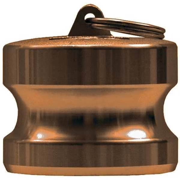 Dust Plug, 2 In, 250 psi, Male Adapter, Dixon, Mfr#: G200-DP-BR