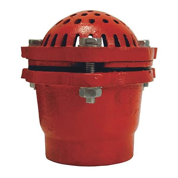 6" Threaded Cast Iron Foot Valve, Dixon, Mfr#: DFVS60