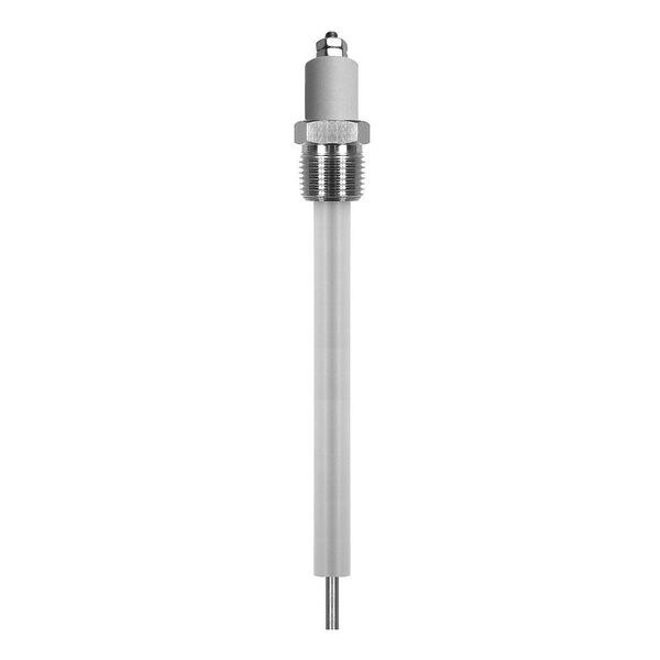 Liquid Level Probe, 12In, 3/4 NPT, PTFE, Lumenite, Mfr#: PHST34G12