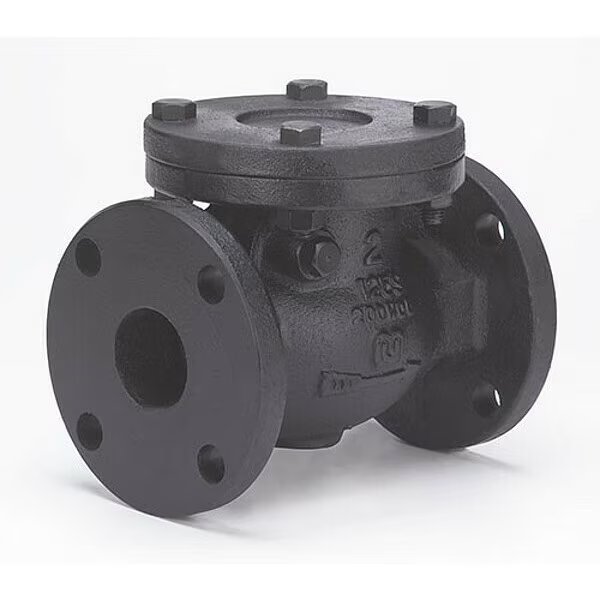5" Flanged Cast Iron Swing Check Valve, Milwaukee Valve, Mfr#: 2974-M 5