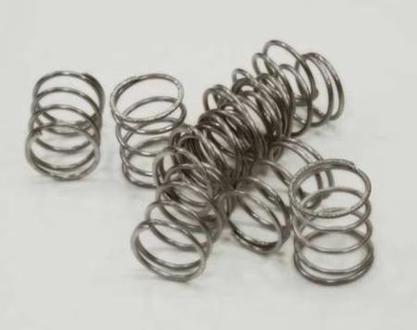 Actuator Spring, Pk10, Acorn Controls, Mfr#: 2563-003-001